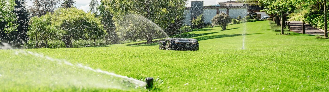 Der perfekte Garten.